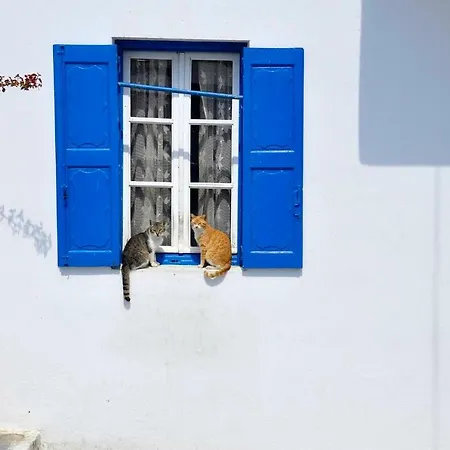 Cavo Mykonos * Mykonos Town